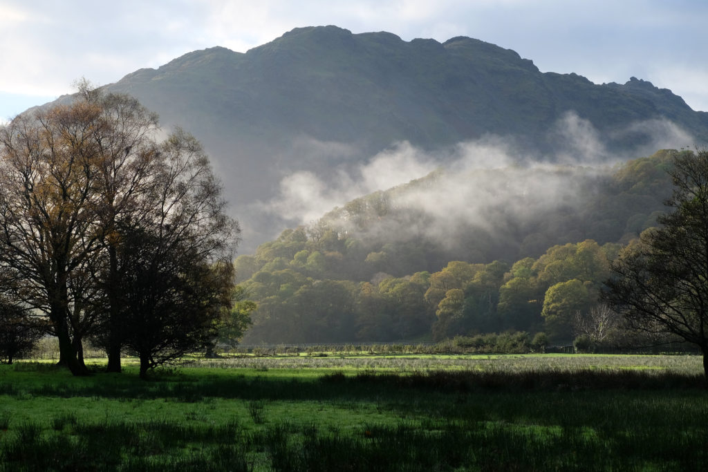 Borrowdale - Autumn mist