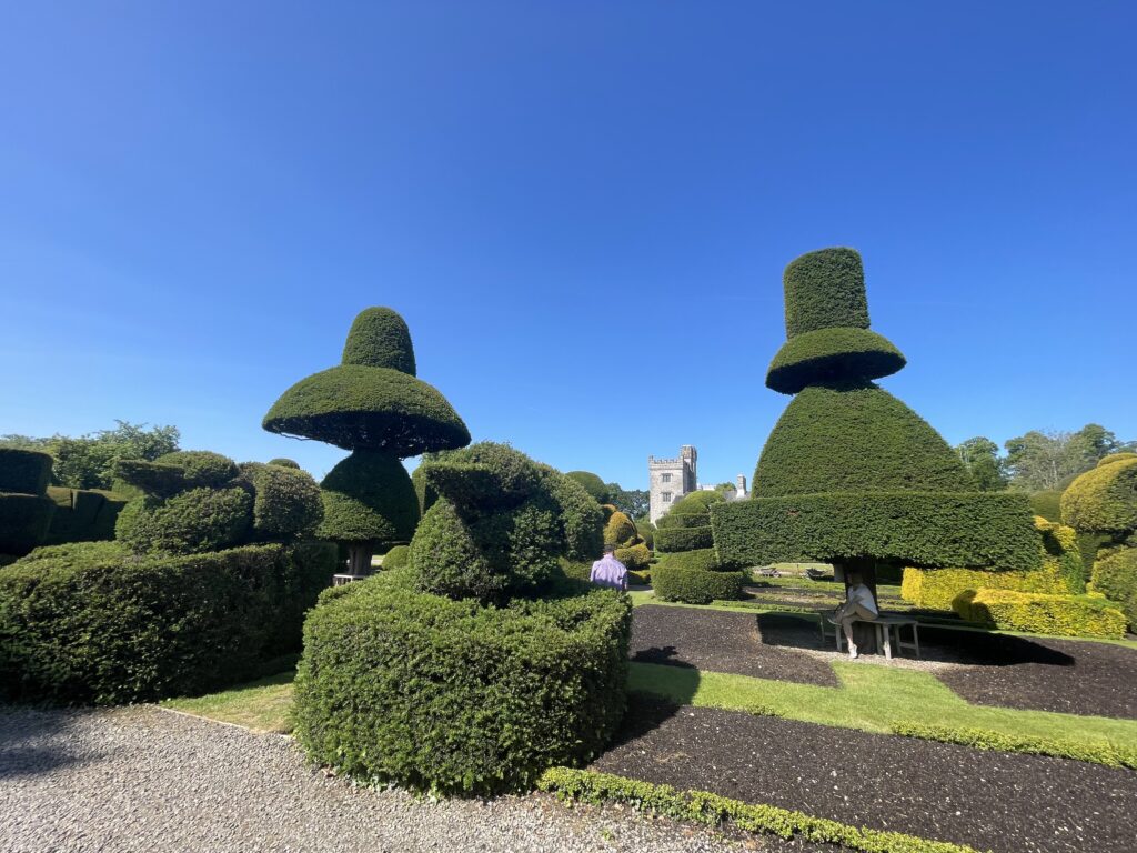 Levens Hall and gardens Topiary 