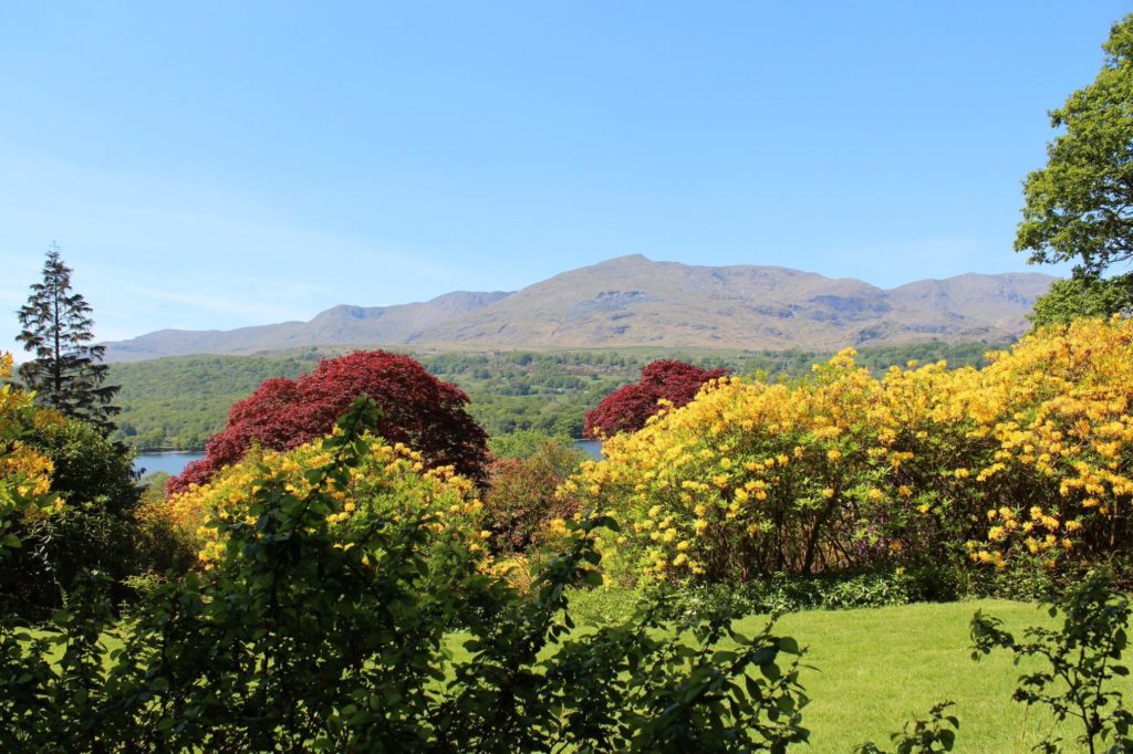 Coniston Old Man from Brantwood