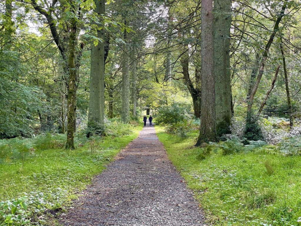 Loweswater Walk through Holm wood