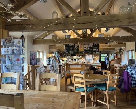 Dog friendly places to eat in Coniston