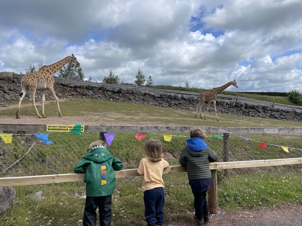 Some kids watching the giraffes South Lakes Safari Zoo 