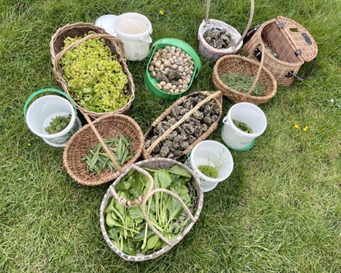 Forage Box - Unusual lake district activities