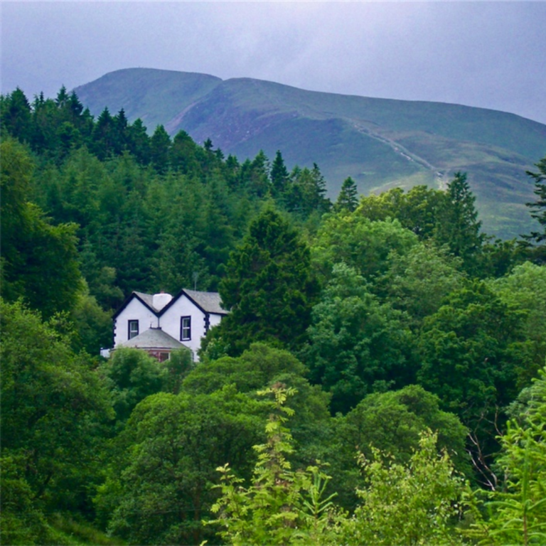 Cottage in the Woods - Keswick Restaurants 