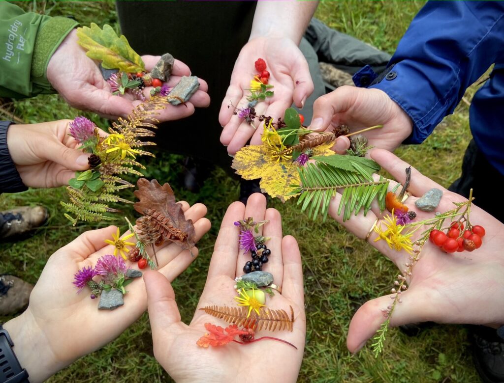 Forest Bathing with Lakeland Wellbeing - Unusual lake district activities