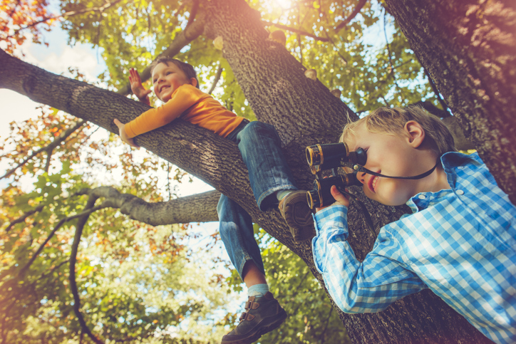 Kinds climbing trees in the Autumn - Free things to do in Cumbria with kids