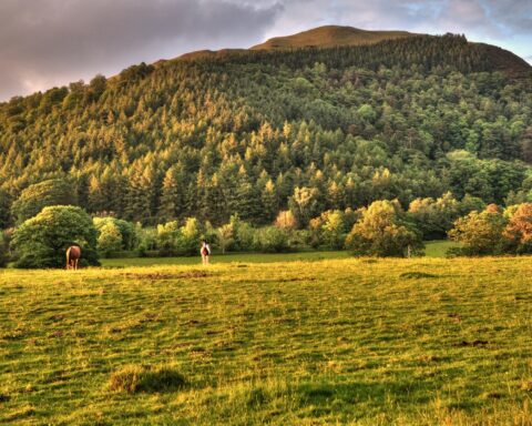 Looking towards Latrigg from Keswick - Easiest wainwrights for children.