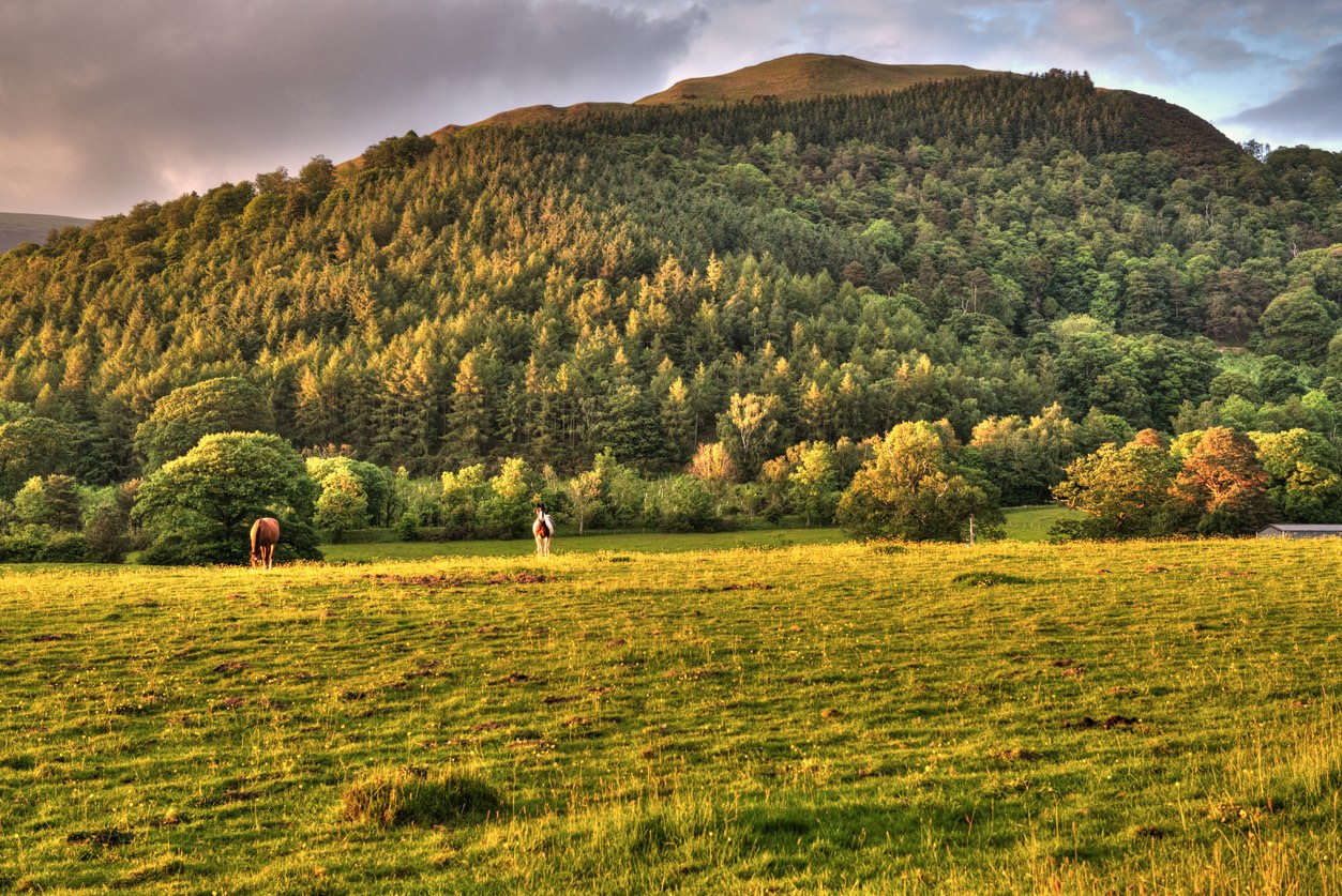 Looking towards Latrigg from Keswick - Easiest wainwrights for children.