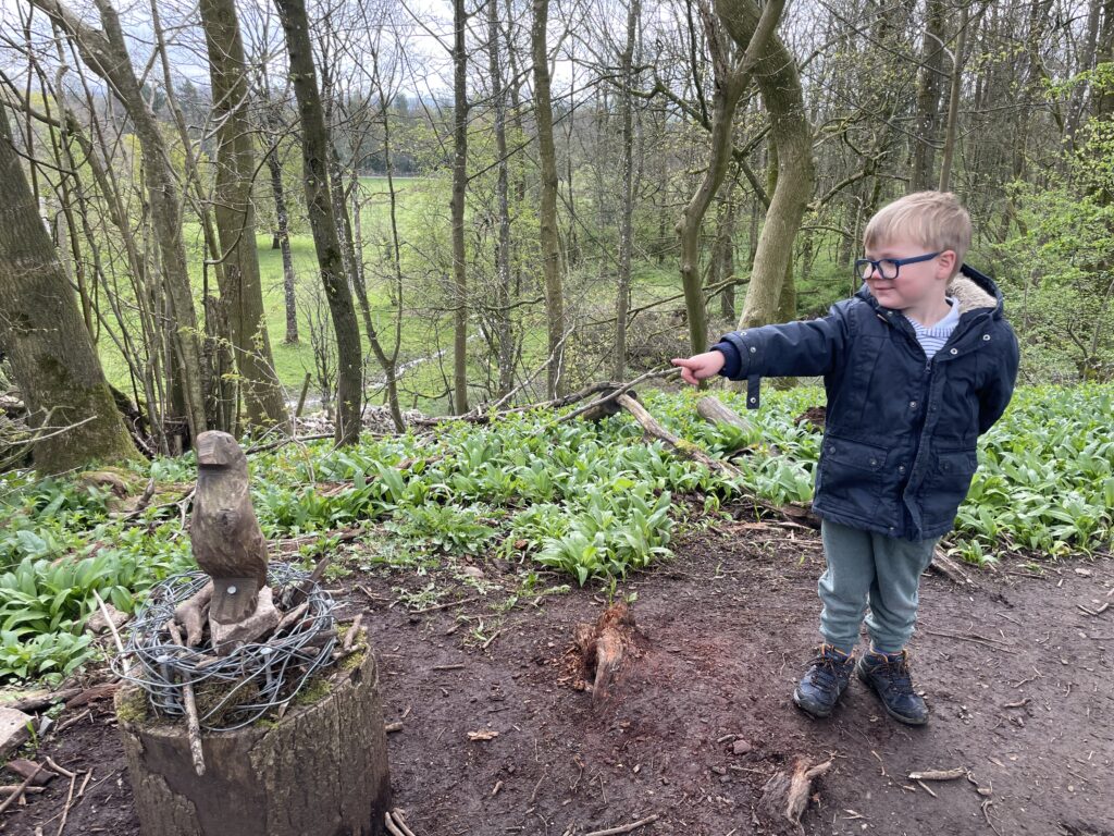 Sizergh Castle and Gardens - Wild Play Trail