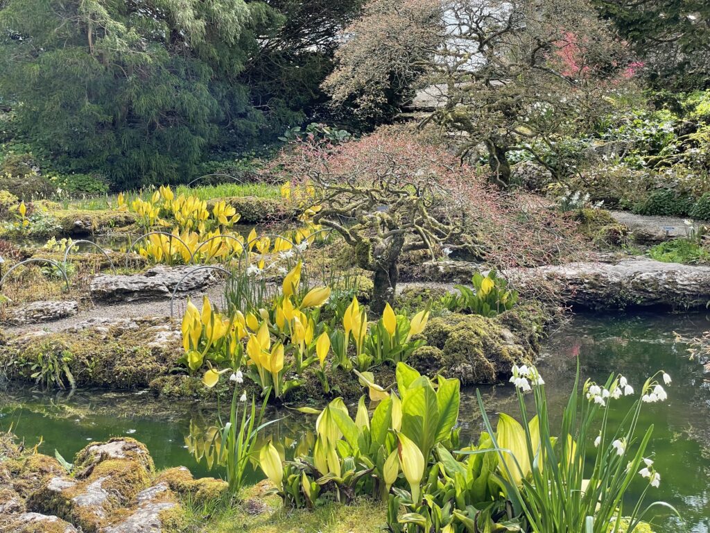 Sizergh Castle Gardens