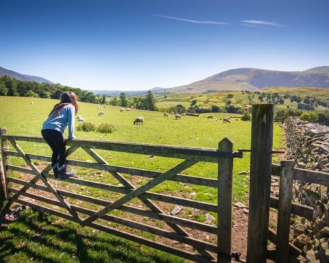 Free things to do in Cumbria with – kid swinging on a gate near keswick