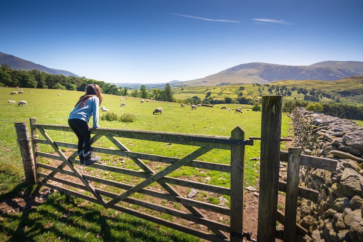 Free things to do in Cumbria with – kid swinging on a gate near keswick