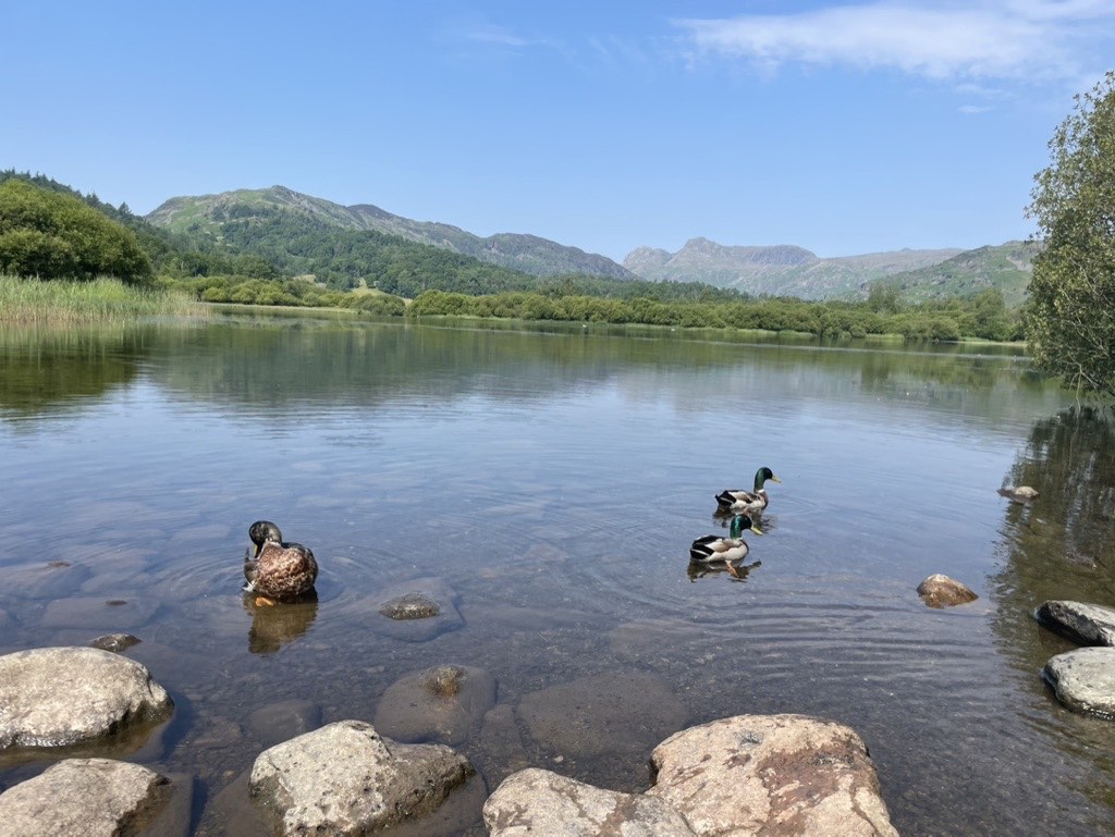 Elterwater - Great Langdale