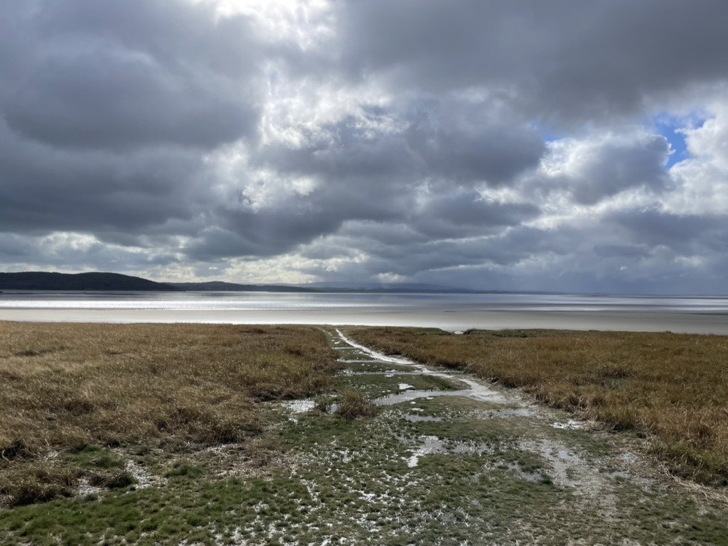 Grange Over Sands salt marshes 