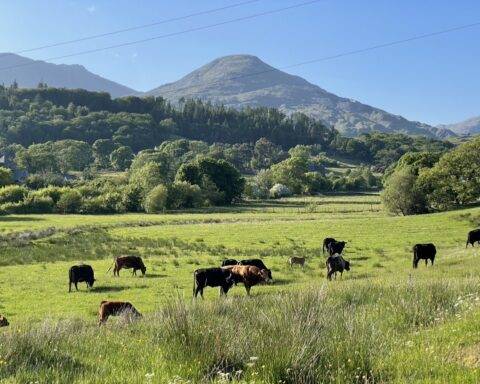 Torver looking up towards Coniston Old Man