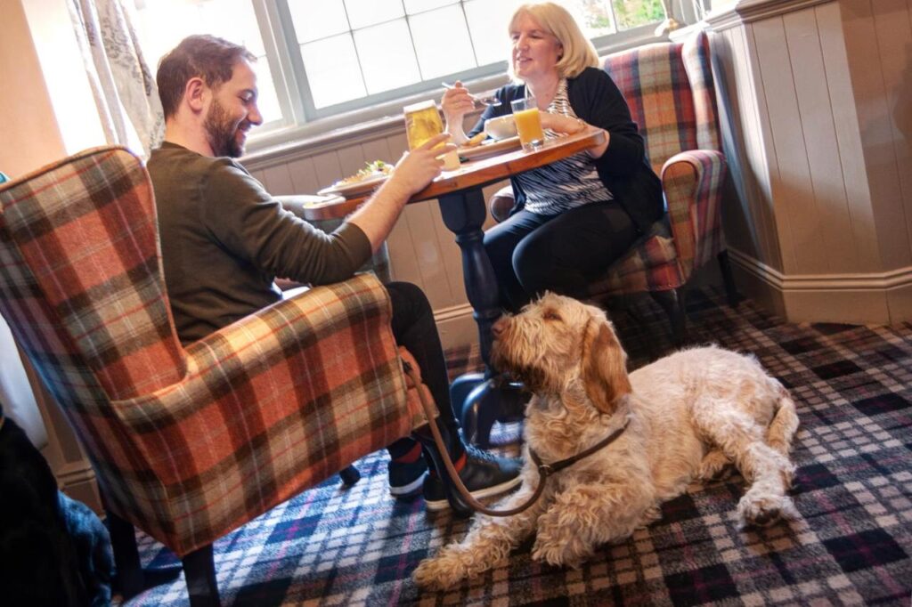 Dog in Coniston Inn