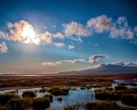 A view across the estuary near Kirkby in Furness