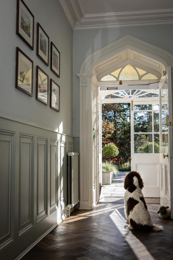 Dog waiting by the door at Rothay Manor Ambleside - Best Dog-Friendly Hotels Lake District