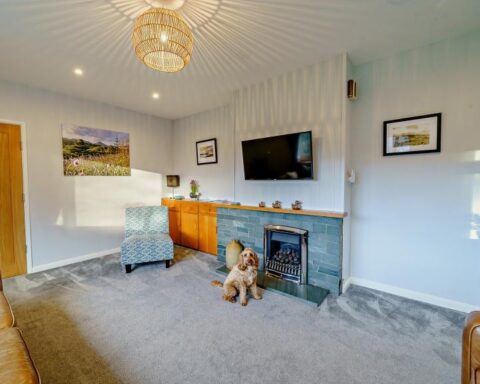 A picture of dog infront of the fire at Hollace - dog friendly cottages lake district