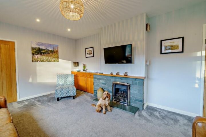 A picture of dog infront of the fire at Hollace - dog friendly cottages lake district