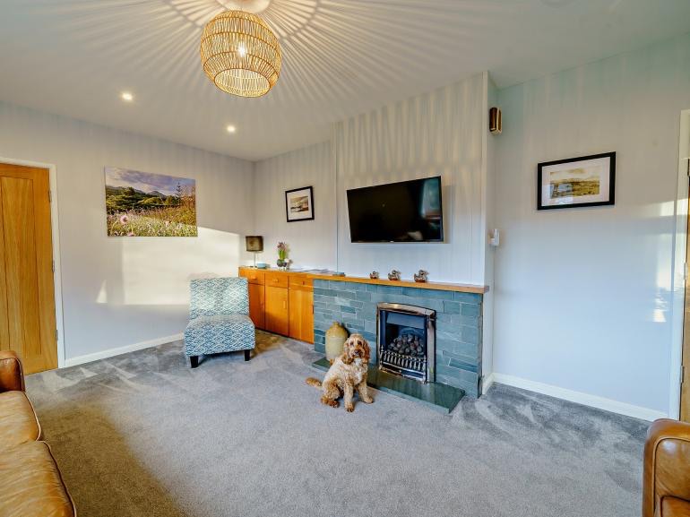 A picture of dog infront of the fire at Hollace - dog friendly cottages lake district