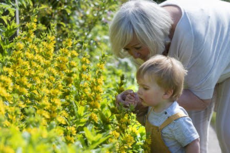 Visitors in the garden at Hill Top, Near Sawrey, Lake District